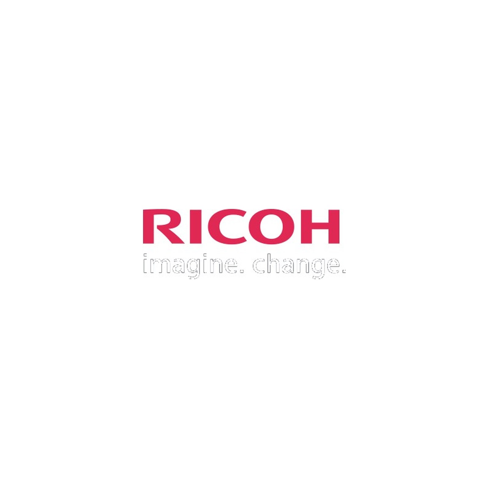 RICOH Schmierfett Type G1